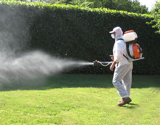 Avviso alla cittadinanza - Disinfestazione - Disinfezione del centro urbano giorno 31/07/2024.