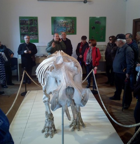 Antiquarium.jpg